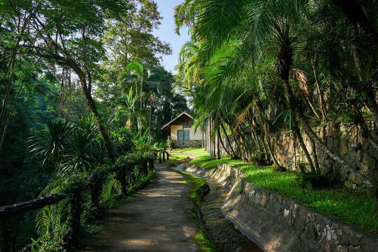 Phutarntree Resort Чиангмай Экстерьер фото