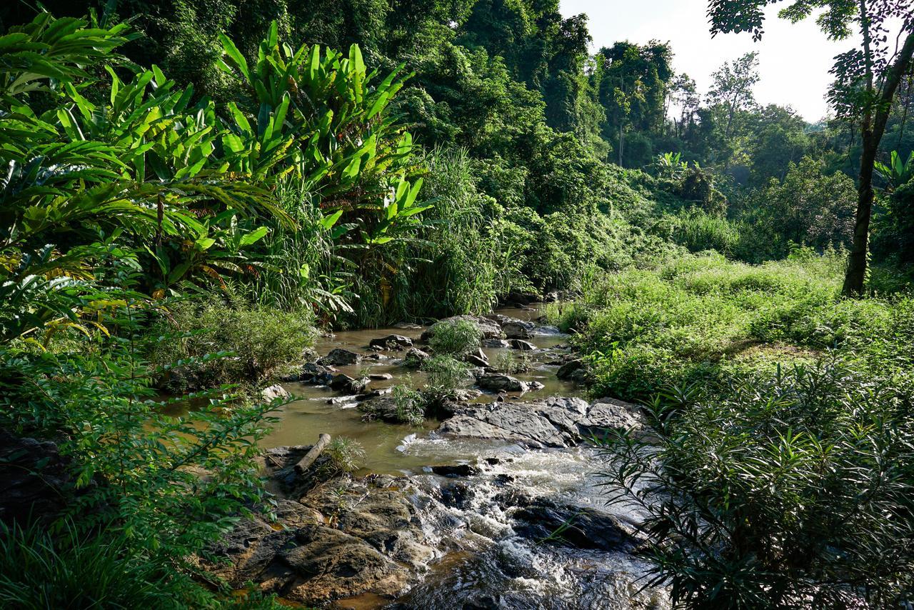 Phutarntree Resort Чиангмай Экстерьер фото