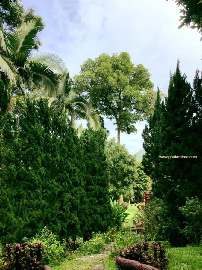 Phutarntree Resort Чиангмай Экстерьер фото